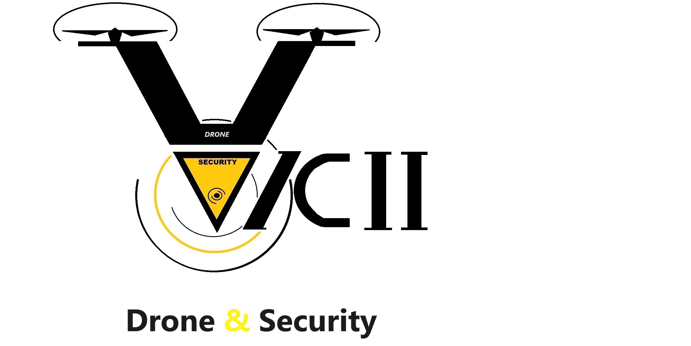 vicii-security.fr